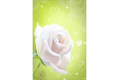 Tapeta na dvere 6495